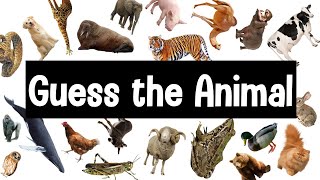 Guess the Animal Sound Game  30 Animal Sounds Quiz  Wildlife Trivia [upl. by Sadye]