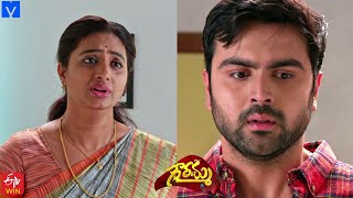 Gowramma Serial Promo  21st May 2021  Gowramma Telugu Serial  Mallemalatv [upl. by Ellehsat]