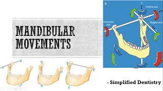 Mandibular Movements [upl. by Aivonas]