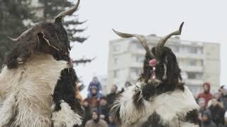 Bulgarian Kukeri [upl. by Llenrag597]