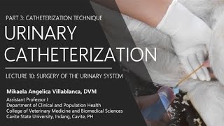 Cardiac Catheterization  What You Can Expect [upl. by Erdnaid]