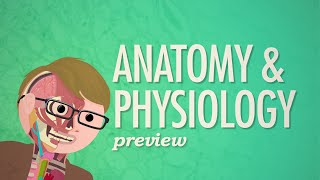 Crash Course Anatomy amp Physiology Preview [upl. by Kindig113]