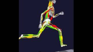 Running biomechanics rotating [upl. by Harold95]