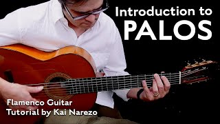 Introduction to Palos  Flamenco Guitar Tutorial by Kai Narezo [upl. by Namya]