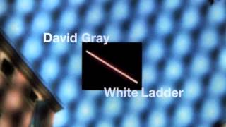 David Gray  Silver Lining Official Audio [upl. by Arammahs223]