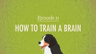 How to Train a Brain Crash Course Psychology 11 [upl. by Frame887]