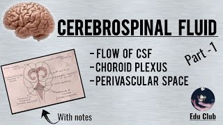 Cerebrospinal Fluid  Part 1 [upl. by Jeanne]