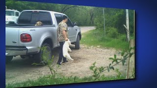 Warning Surveillance video captures man accused of killing 2 puppies Dallas police say [upl. by Eicak353]