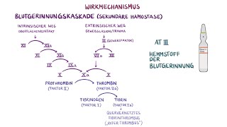 Medikamente im Rettungsdienst  Heparin [upl. by Nonad]