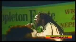 Dennis Brown  The Legend Continue [upl. by Saticilef]