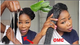 3 WAYS TO USE ALOE VERA FOR MASSIVE HAIR GROWTH  Aloe vera oil Prepoo amp Detangler  UPDATE [upl. by Htbazile826]