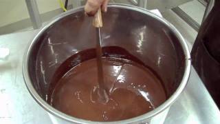 Cocoa Beans Chocolate Liquor and Cocoa Butter [upl. by Horowitz51]