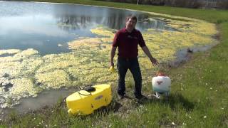 Controlling Algae in Farm Ponds [upl. by Mariejeanne]