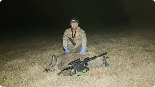 65 Grendel Controlled Chaos Brass Initial Hog Hunting Results [upl. by Amocat]