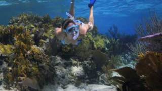 Snorkeling Southwest Reef New Providence Bahamas [upl. by Stier906]