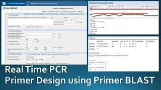 Primer designing for real time PCR using NCBI Primer Blast [upl. by Danila386]