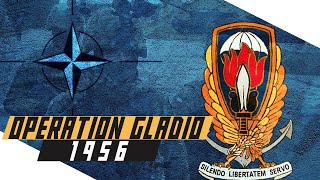 Operation Gladio How the West Wanted to Defend against the USSR [upl. by Bacchus556]