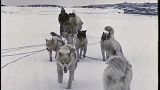 An InuitEskimo family in the Arctic 1959 [upl. by Ynabe9]