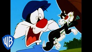 Looney Tunes  Best of Sylvester  WB Kids [upl. by Goran]