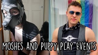 Petplay Event amp Puppy Mosh Survival Guide With Pup Amp [upl. by Ambrosi]