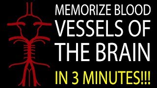 MNEMONIC Brains Blood Supply MEMORIZE in 3 Minutes [upl. by Able]