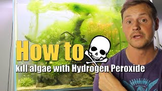 How to kill algae with Hydrogen Peroxide [upl. by Lawson]