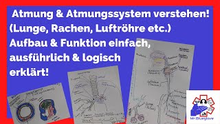 PRÜFUNGSWISSEN 1 Atmung Lunge Atemwege amp Atmungssystem im Rettungsdienst Pulmo Larynx Trachea [upl. by Adoc]