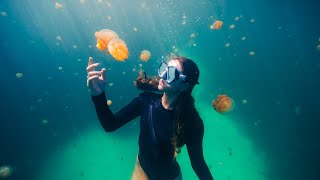 The Most Beautiful Free Diving in the World [upl. by Yendyc]