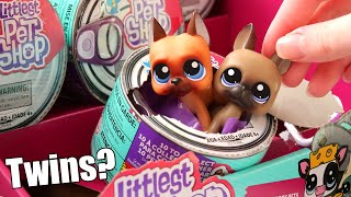 Opening LPS  Unreleased Pets [upl. by Ansley]