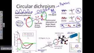 Circular dichroism [upl. by Notloc]