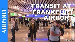 TRANSIT WALK AT FRANKFURT Airport FRA Terminal 1  Connection Flight Transfer Arriving amp Departing [upl. by Licna156]