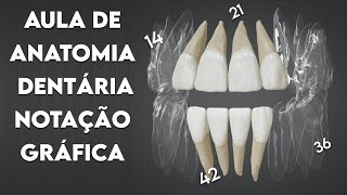 Deixe seus DENTES BRANCOS em Pouco Tempo [upl. by Trotter23]