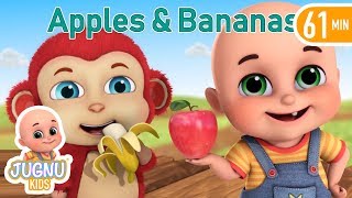 Apples and Bananas Song  Nursery Rhymes Collection and Baby Songs from Jugnu Kids [upl. by Namsaj349]