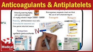 Pharmacology  Anticoagulants and Antiplatelet Drugs FROM A TO Z [upl. by Ydnyc]