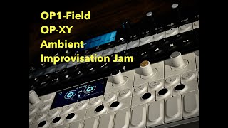 OP1Field amp OPXY  Ambient improvisation jam [upl. by Anawqahs]