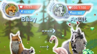 Wildcraft From baby fox to level 200  30k special [upl. by Liane]