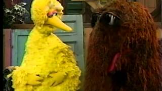 Sesame Street  Big Bird Wants a New Name Part 2 [upl. by Foskett375]