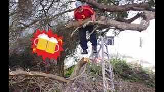 Epic Tree Cutting Fails  1 [upl. by Cathyleen]