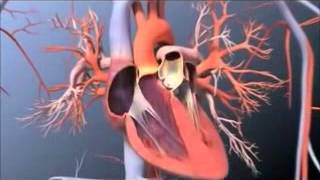 Pulmonary Artery Catheterization [upl. by Larentia]