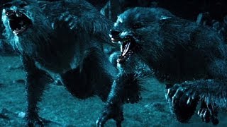 Top 10 Werewolf Movies REDUX [upl. by Alius]