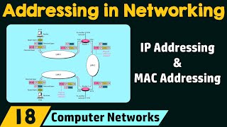 Addressing in Networking [upl. by Anauqahc]