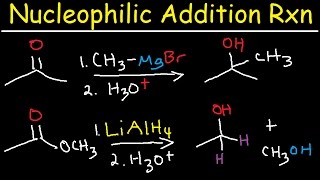 Nucleophilic Addition Reaction Mechanism Grignard Reagent NaBH4 LiAlH4 Imine Enamine Reduction [upl. by Mellisent]