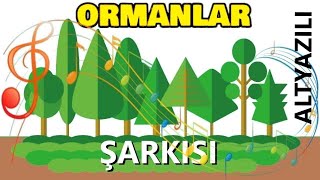 ORMANLAR ŞARKISI Tohumlar Fidana [upl. by Oznol]