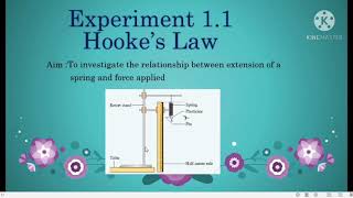 14 Experiment 11 HookesLaw [upl. by Staffan780]