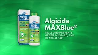 STEP 5 – ALGICIDE Pool Time® [upl. by Hamlin25]