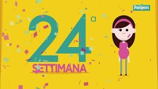 24° settimana di gravidanza [upl. by Enilesoj]