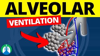 Alveolar Ventilation Medical Definition  Quick Explanation [upl. by Assenaj]