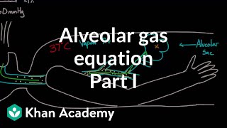 Alveolar gas equation  part 1  Respiratory system physiology  NCLEXRN  Khan Academy [upl. by Anasor]